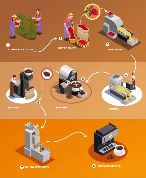 chaine de fabrication café